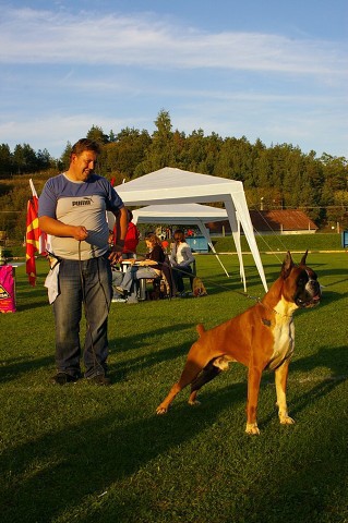 www.boxer-show.eu